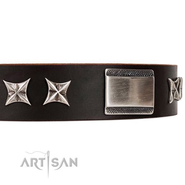 fashionable leather dog collar with chrome-plated adornments