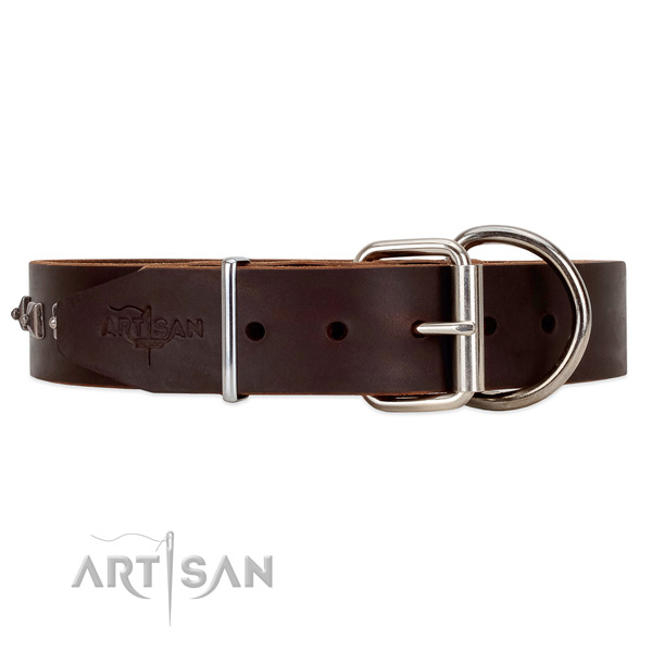 Leather dog collar with cool silver-like hardware