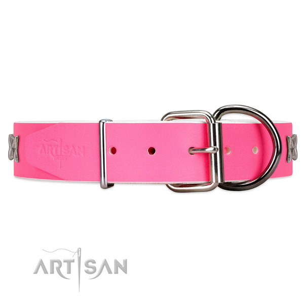 Leather dog collar with silver-like hardware
