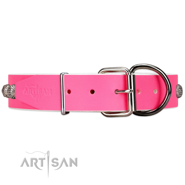 Leather dog collar with silver-like hardware