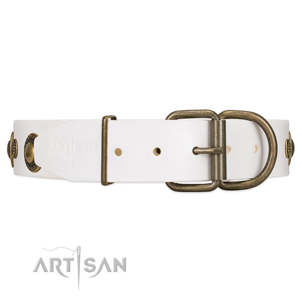 Strong leather dog collar with chrome plated hardware