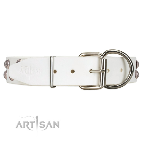 Leather dog collar with chrome-plated engraved studs