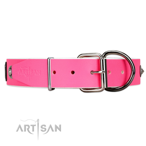 Walking dog collar with reliable fittings