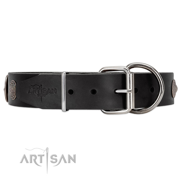 Unique style black leather dog collar with tough fittings