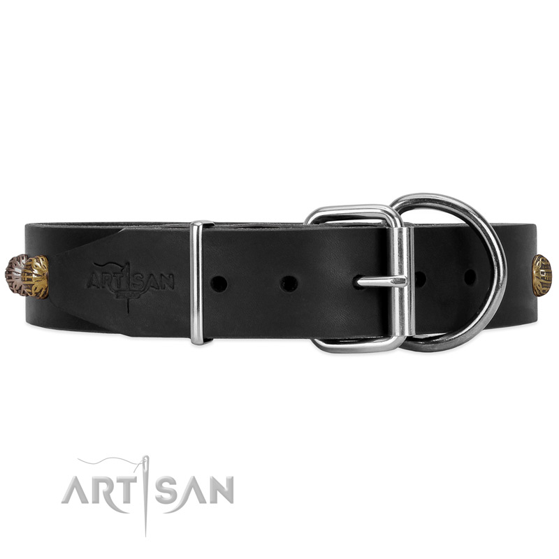 Black dog collar with chrome plated hardware