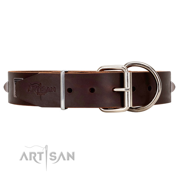 Leather dog collar with silver-like hardware