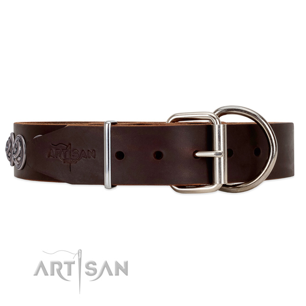 Deluxe FDT Artisan brown leather dog collar with heavy-duty hardware