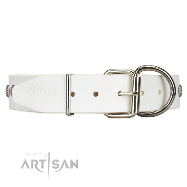 Leather dog collar with chrome-plated engraved studs
