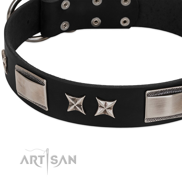 Tremendous black leather dog collar with chrome plated decorations