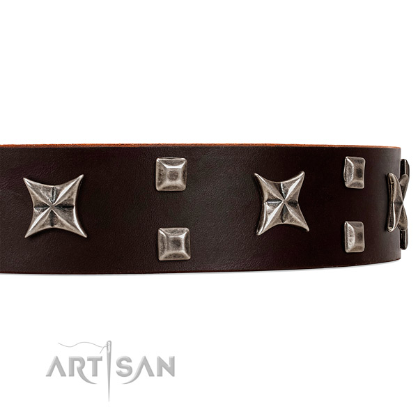 Fancy Style Brown Leather Dog Collar with Studs and Stars