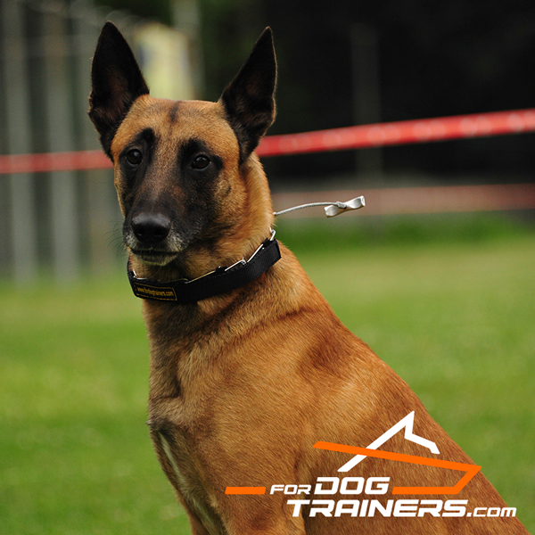 Genuine leather parts for dog pinch collar