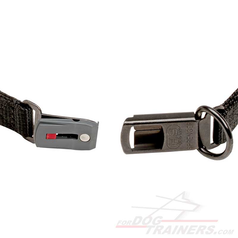 Purchase Curogan Pinch Collar Dog Training Click Lock Buckle