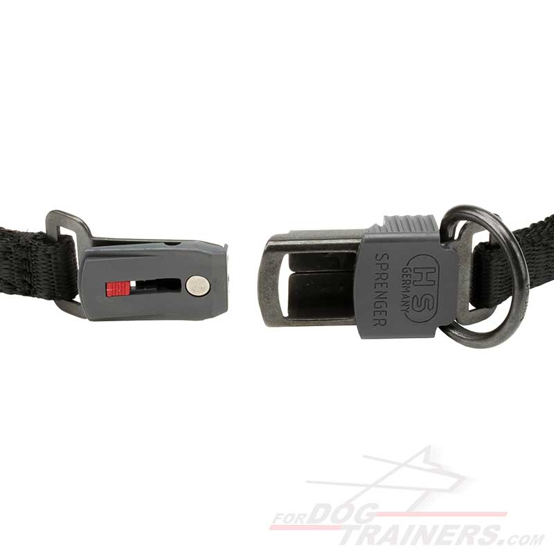 Buy Durable Dog Pinch CollarClick Lock Buckle