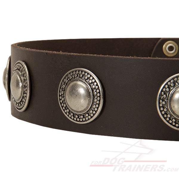 Stylish Leather Dog Collar with Smooth Edges