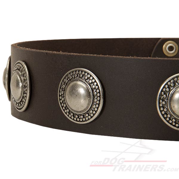 Stylish Leather Dog Collar with Handset Studs