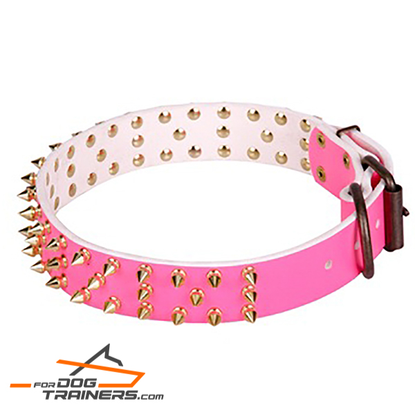 Decorated leather collar for comfortable walking