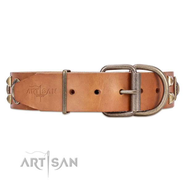 Strong leather dog collar with chrome plated hardware