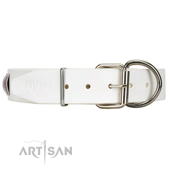White leather dog collar with modish silver-like hardware