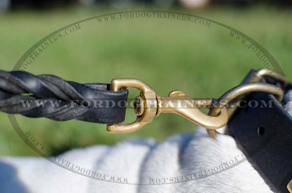 Dog collar with D-ring