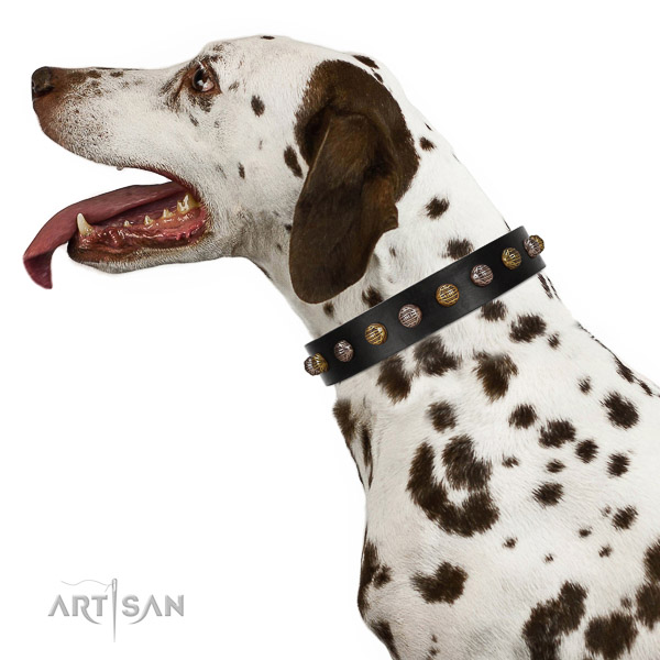 Dependable Dalmatian Artisan leather collar of optimal width