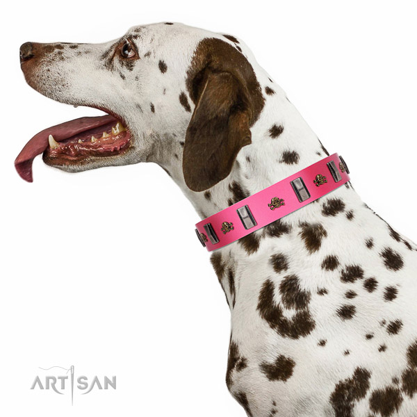 Decorated leather Dalmatian collar for comfortable walking