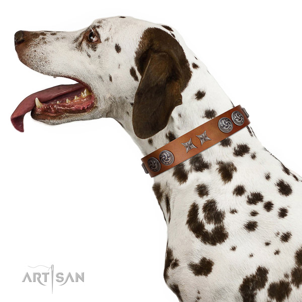 Walking top-notch quality walking leather Dalmatian collar