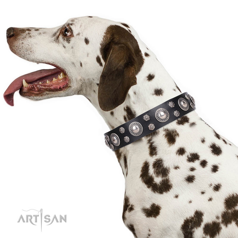 Gold Mine' FDT Artisan Black Leather Dog Collar with Amazing Bronze-Plated  Round Studs [C218#1073 Decorated Black Leather Dog Collar] - $52.99 : Best  quality dog supplies at crazy reasonable prices - harnesses