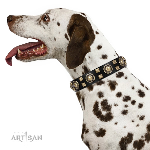 Extraordinary walking leather Shar Pei collar with chic decorations