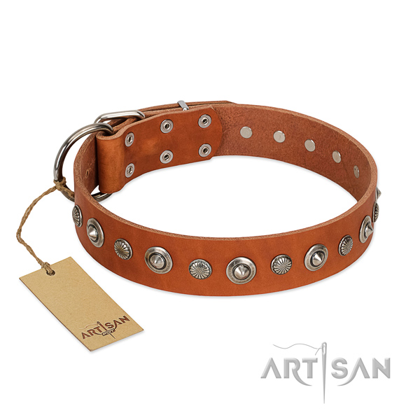Tan Leather Dog Collar with Exquisite Brooches