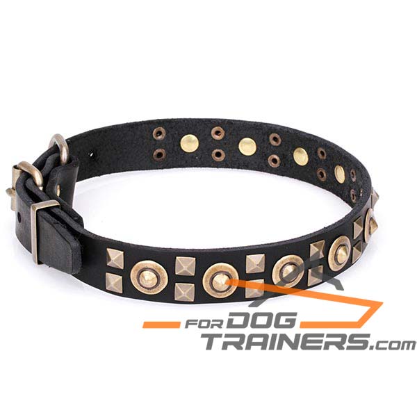 Decorated Dog Collar of Natural Leather
