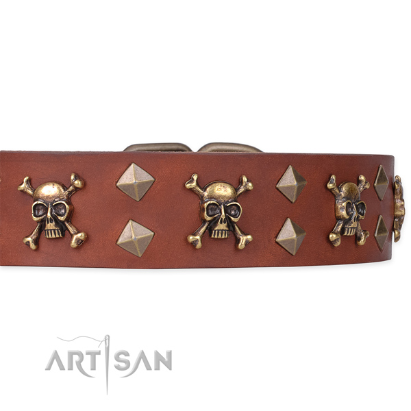 Brass Decor on Tan Dog Collar