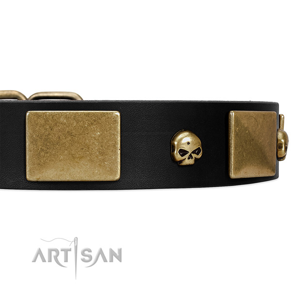 Deluxe Leather Dog Collar with Handset Skulls and Plates