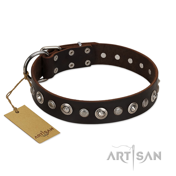 Brown Leather Dog Collar with Exquisite Decor