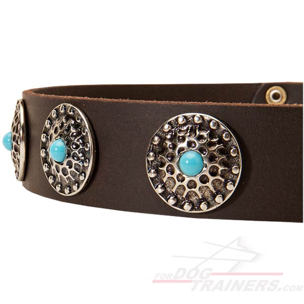 Decorated Medallions of this Leather Collar