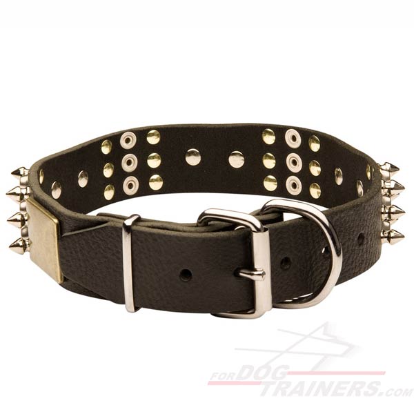 Durable Leather Dog Collar with Buckle and D-Ring