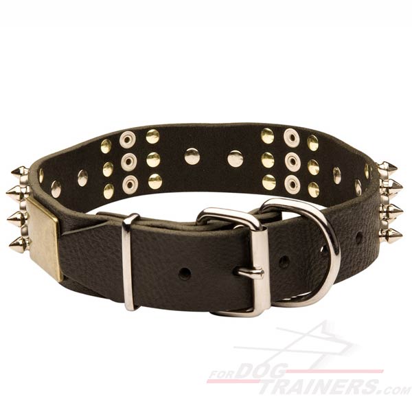 Durable Wide Leather Cane Corso Collar with Stron Hardware