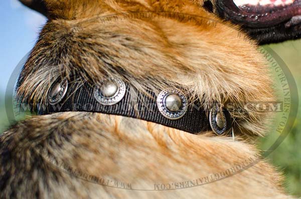 Decorated Nickel Circles of German Shepherd Nylon Collar