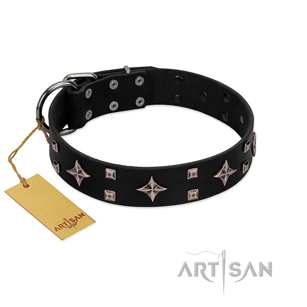 FDT Artisan leather dog collar will please you and your pet