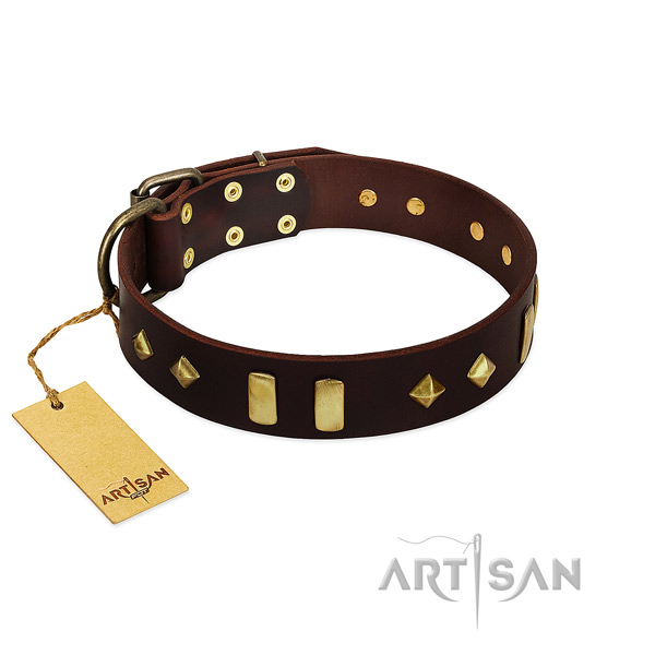 Elegant brown leather dog collar adorned with vintage  and studs