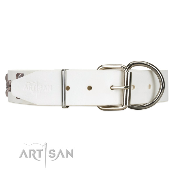 Strong leather dog collar with reliable chrome-plated hardware