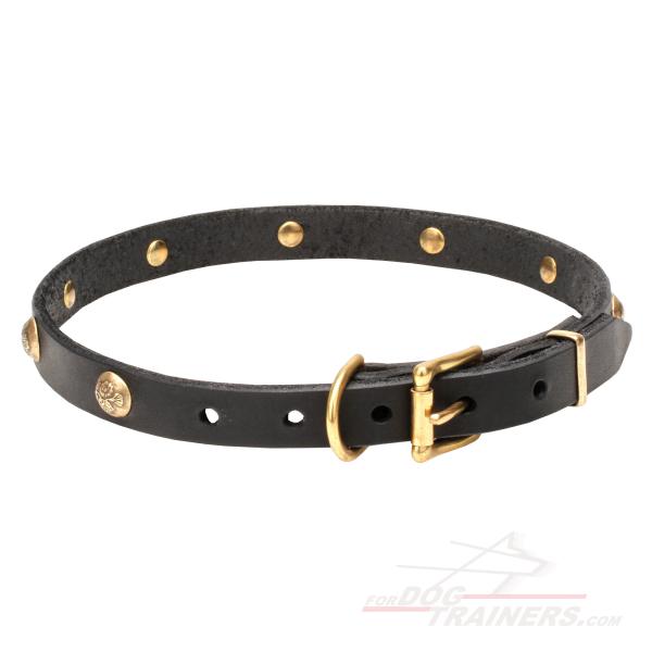 Decorated brass studs leather dog collar