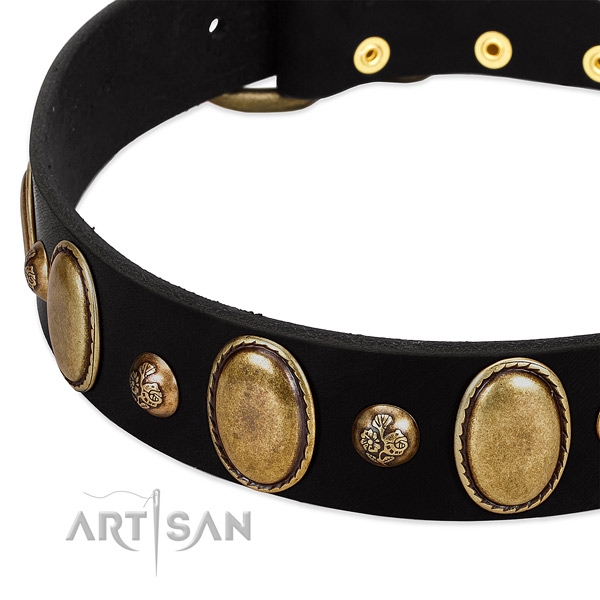 Walking black leather dog collar with studs and plates