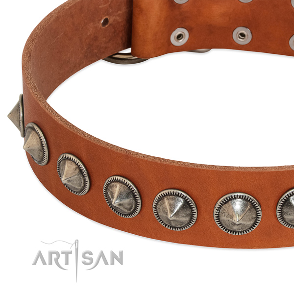 Tan leather dog collar with vintage decorations