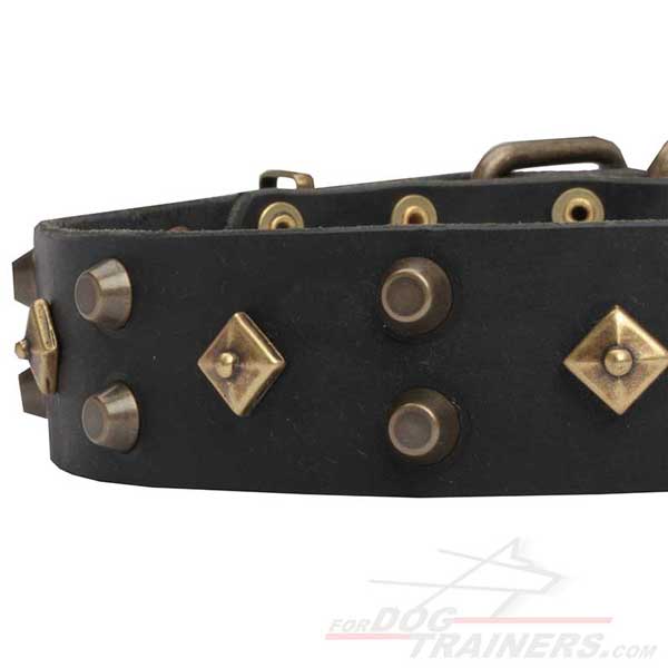 Black Decorated Leather Dog Collar with Rust-proof fittings