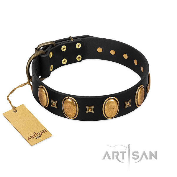Exclusive FDT Artisan leather dog collar for daily walking