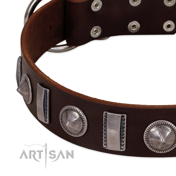 Brown leather dog collar with vintage decorations