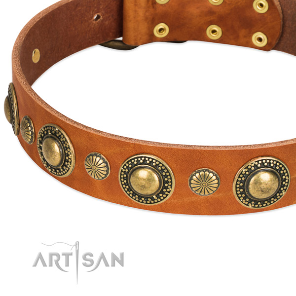 Deluxe style tan leather collar with hardware