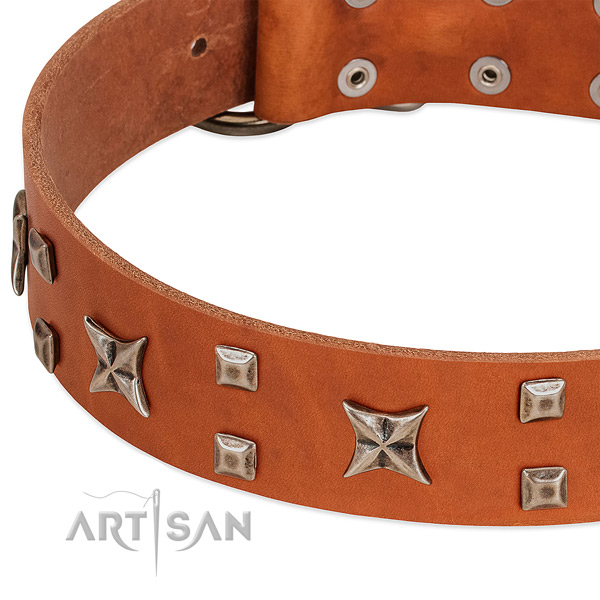 Deluxe style tan leather collar with hardware