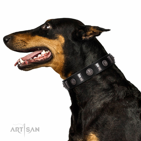 Extraordinary walking black leather Doberman collar with chic decorations