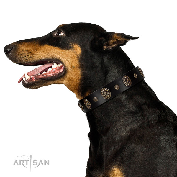 Durable Doberman Artisan leather collar for better control